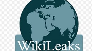 wikileaks-facts