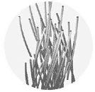 regular cotton