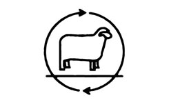 climate beneficial clothing brand t-shirts eco friendly