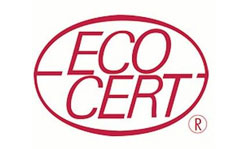 eco clothing t-shirt brands for women and men