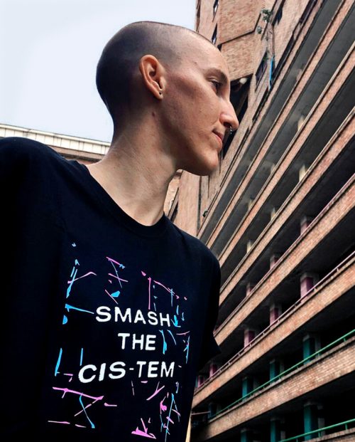 Smash the Cis-Tem T-shirt