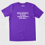 Hogwarts Is Fake, Trans People Are Real T-shirt