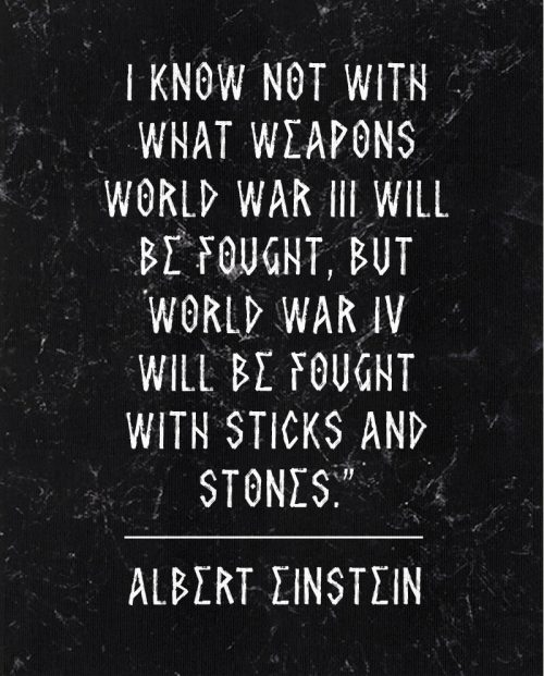 WW4 will be fought with sticks and stones t-shirt