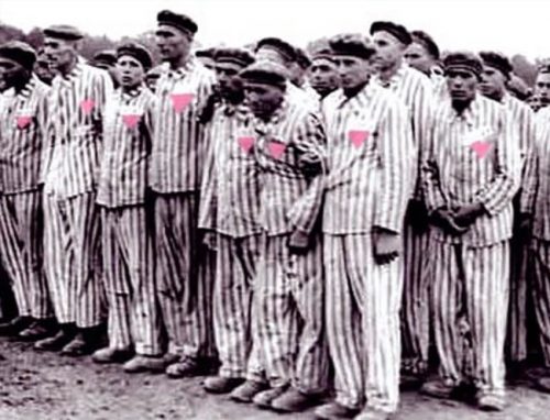 pink triangle lgbt discrimination in nazi germany