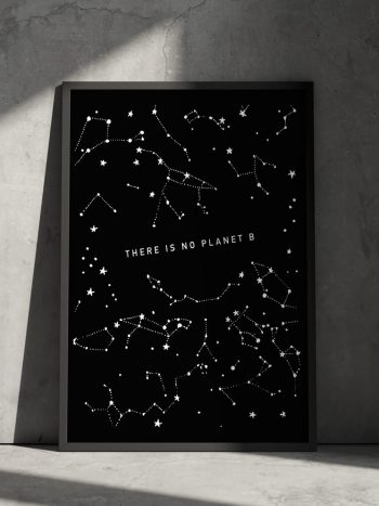 there is no planet b poster