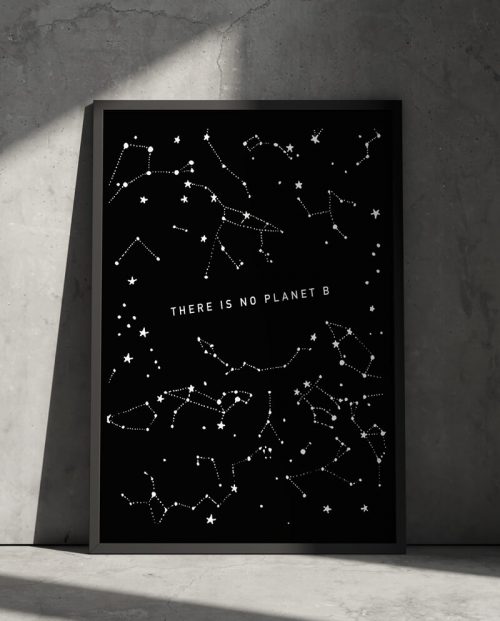 There Is No Planet B Poster